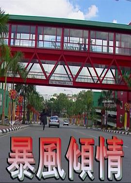 暴风倾情封面图