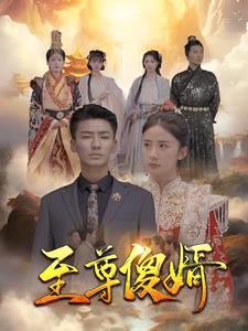 至尊傻婿封面图