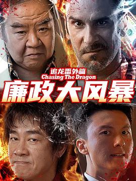 追龙番外篇之廉政大风暴封面图