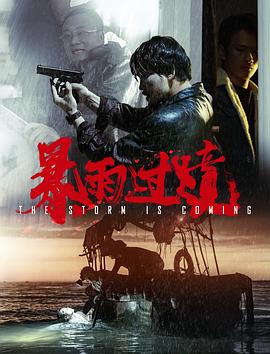 暴雨过境封面图