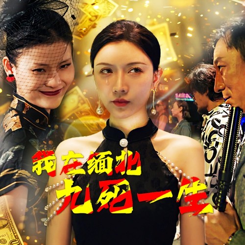 我在缅北九死一生封面图