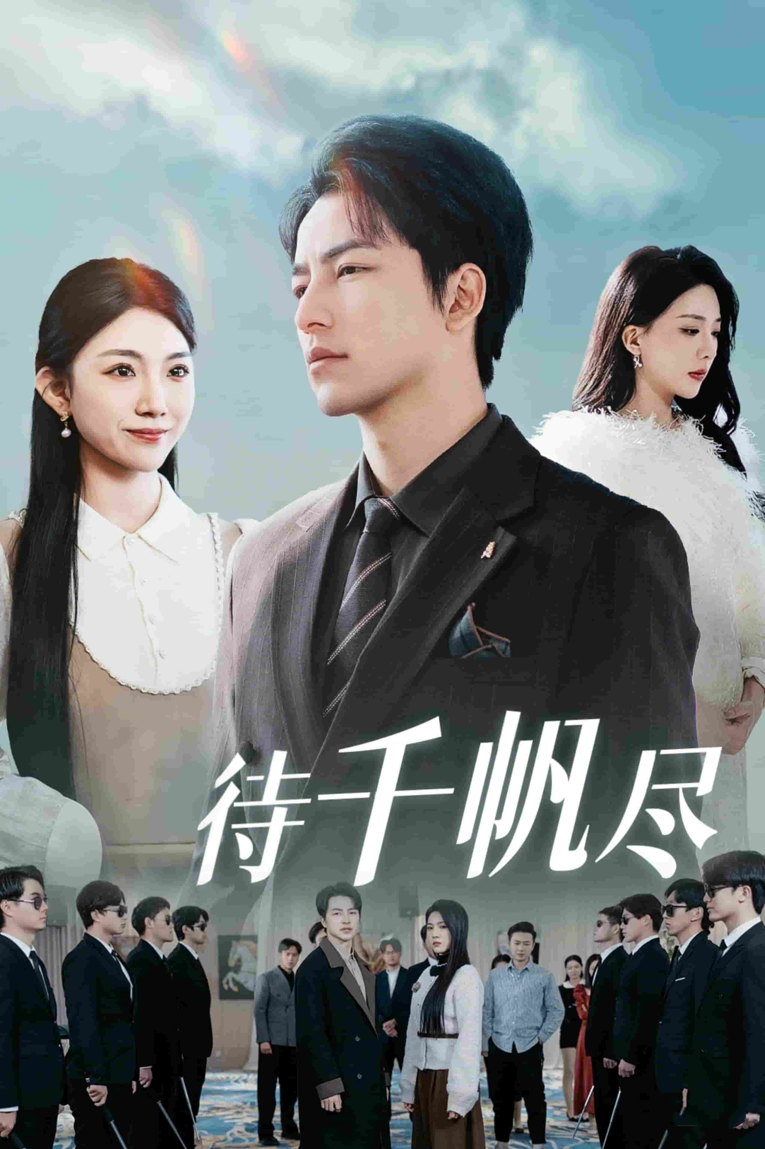新版：待千帆尽封面图