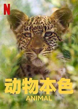 动物本色第二季封面图