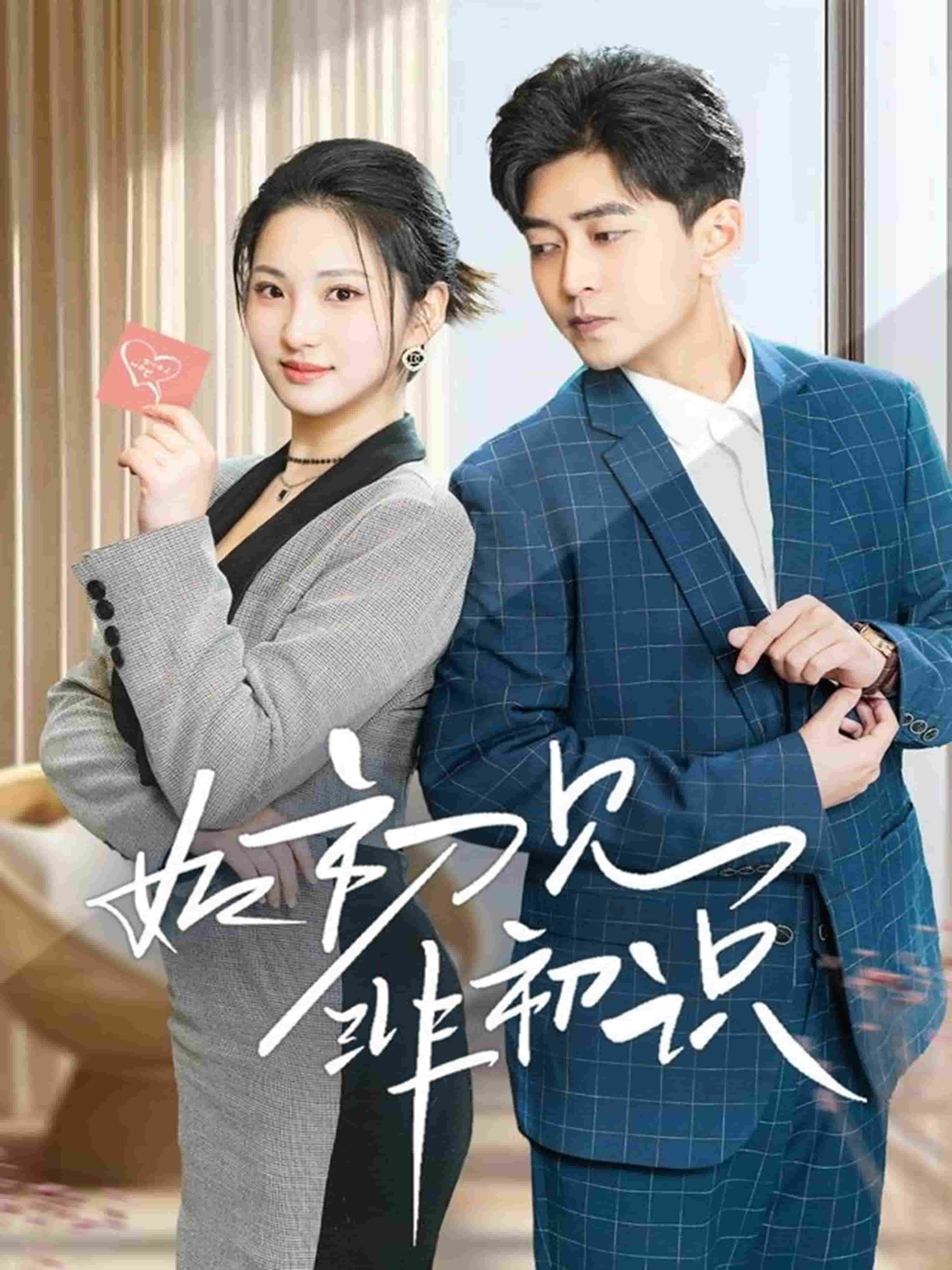 如初见非初识封面图