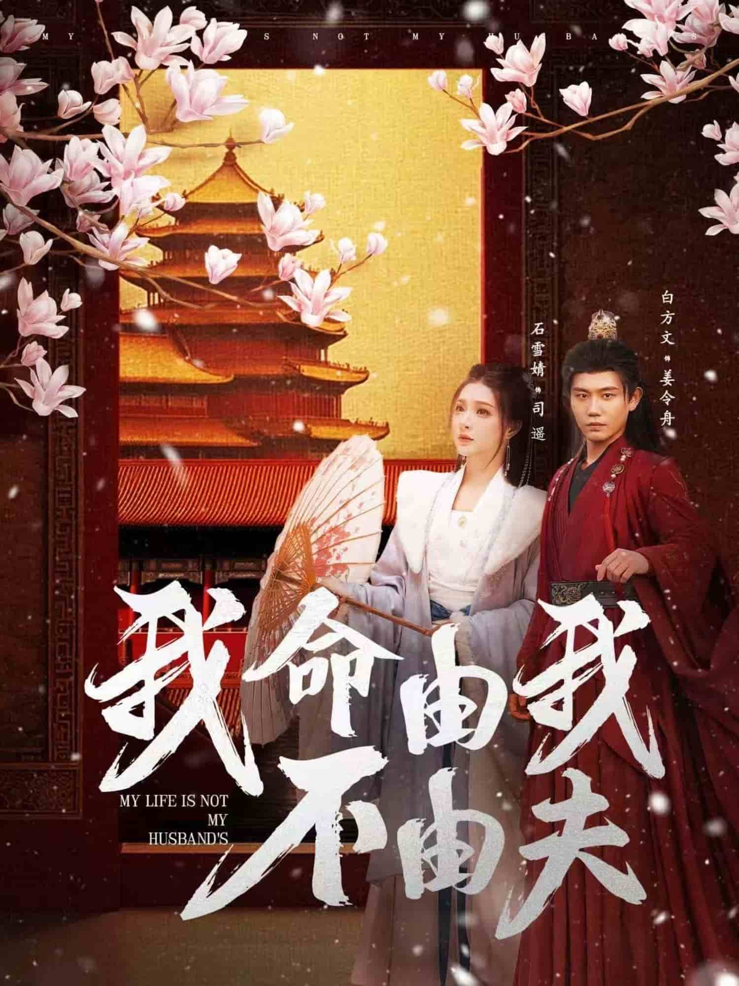 我命由我不由夫封面图