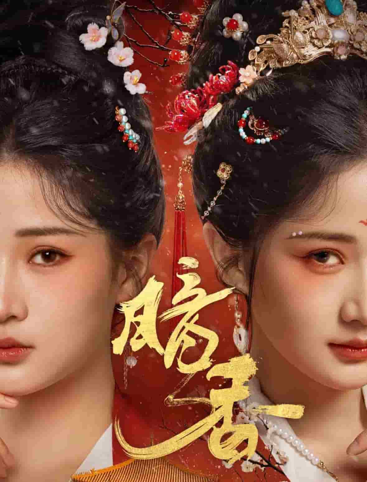 暗香封面图