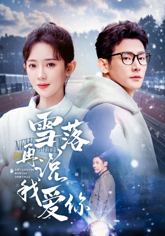 雪落再说我爱你封面图
