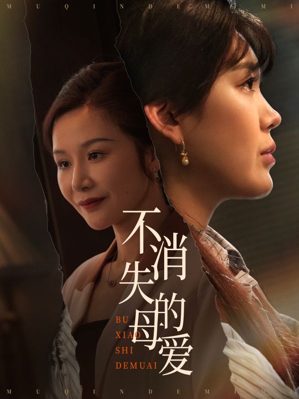 不消失的母爱封面图