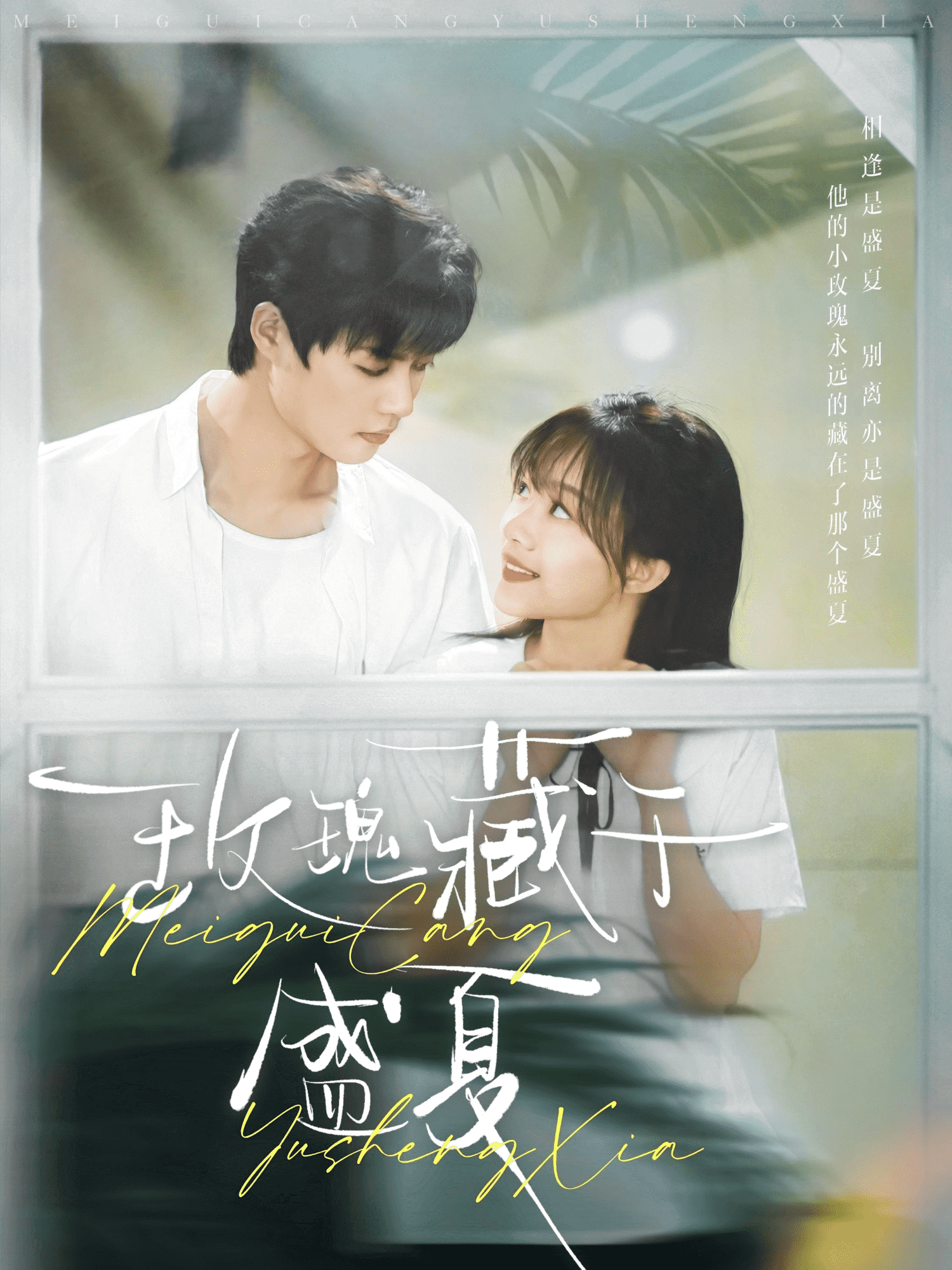 玫瑰藏于盛夏封面图
