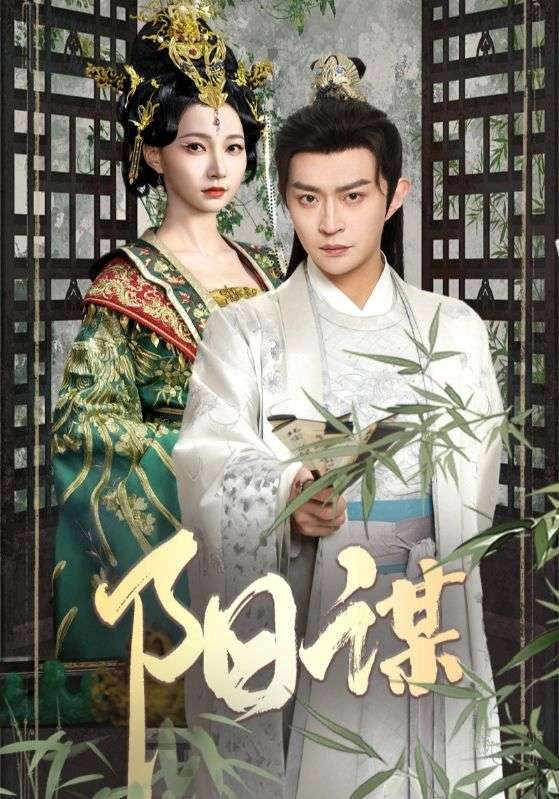 阳谋封面图