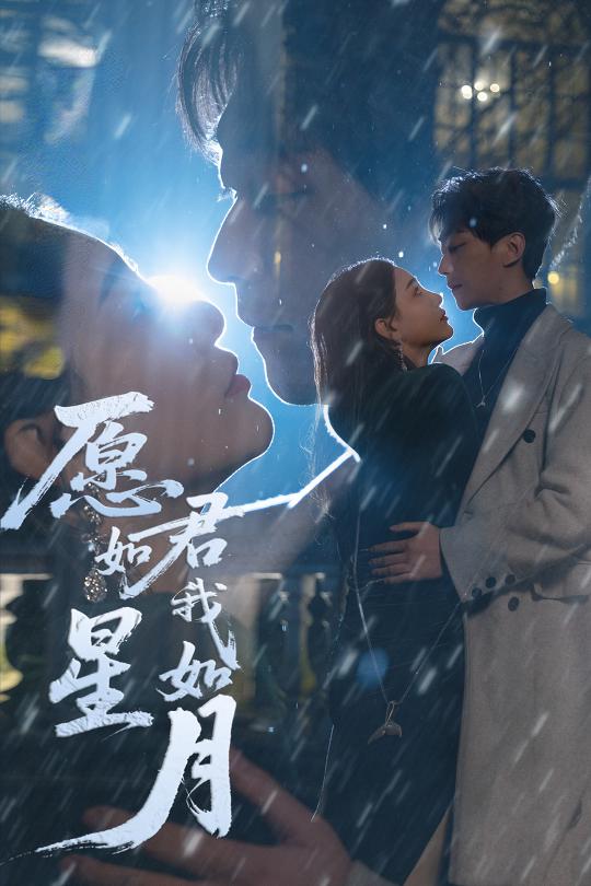 愿君如星我如月封面图