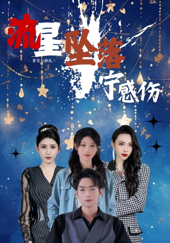 流星坠落宁感伤封面图