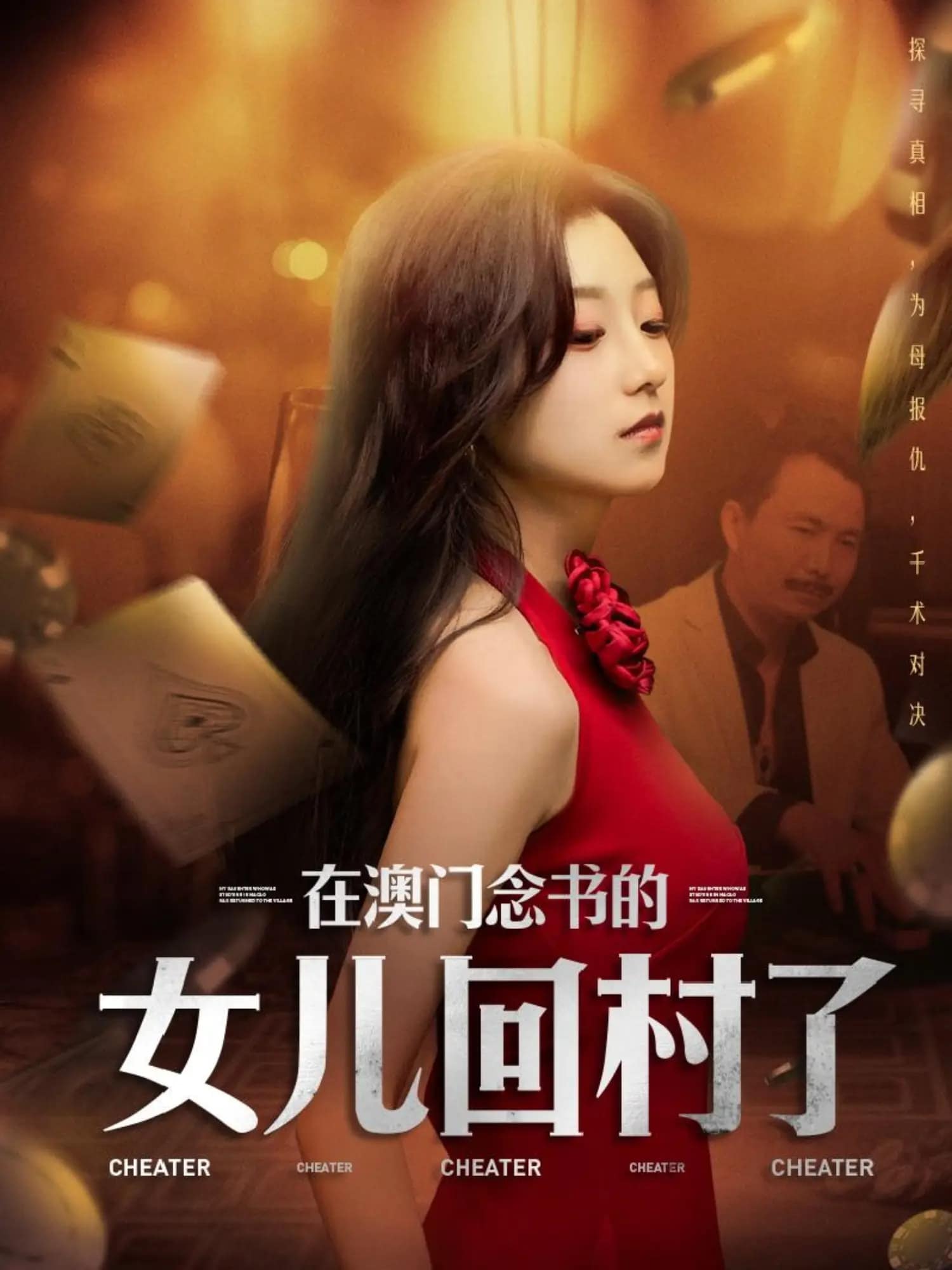 在澳门念书的女儿回村了封面图