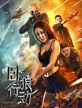 卧狼行动封面图