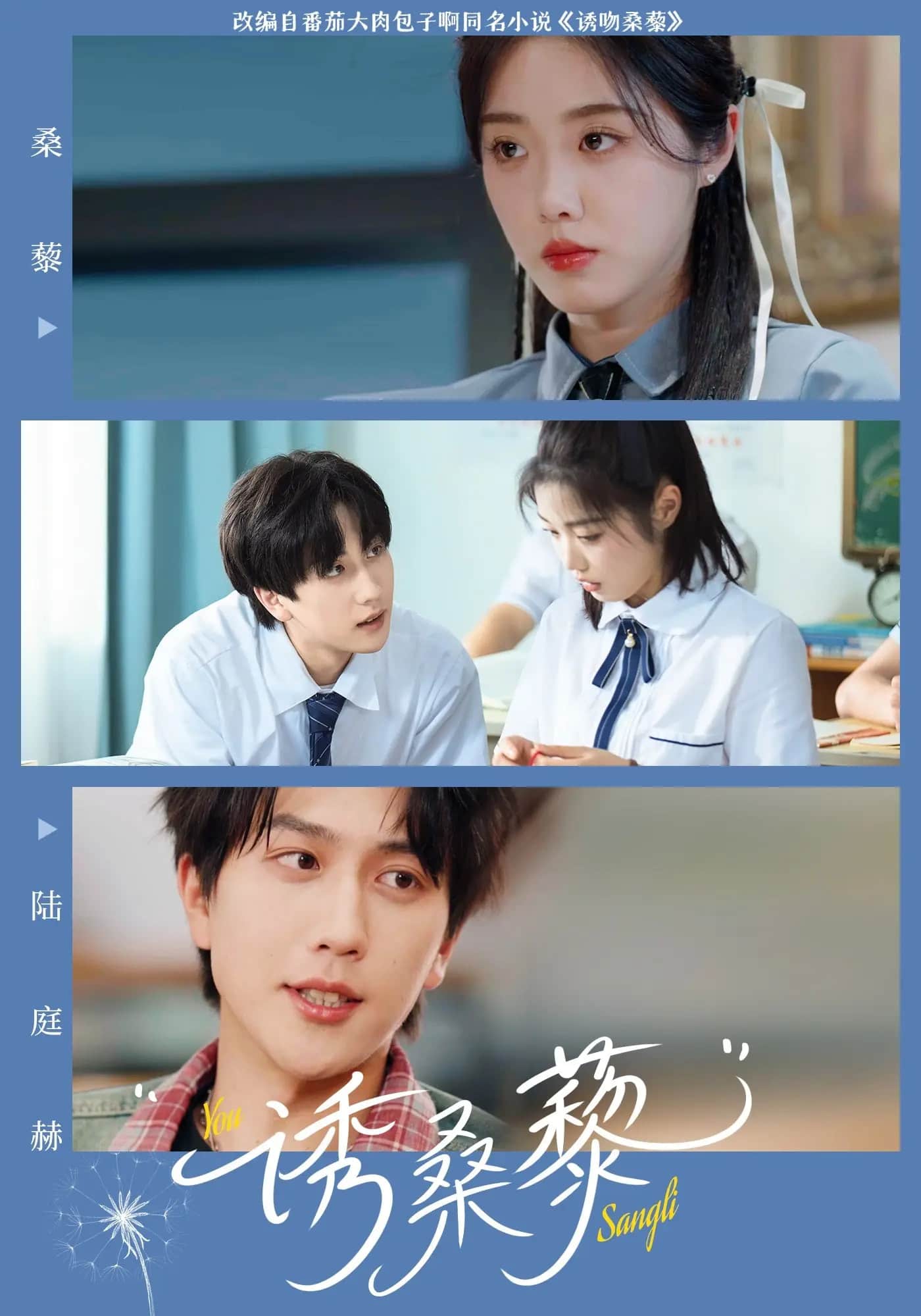 诱桑藜封面图