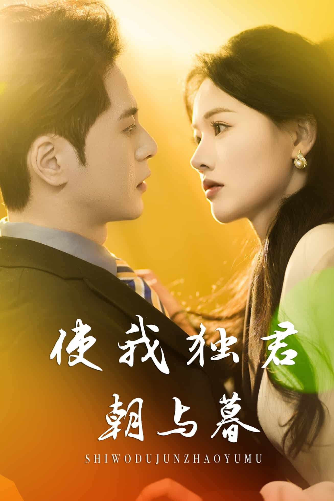 使我独君朝与暮封面图