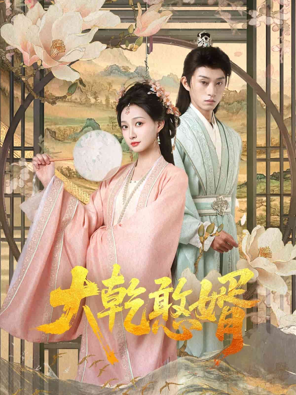 大乾憨婿封面图