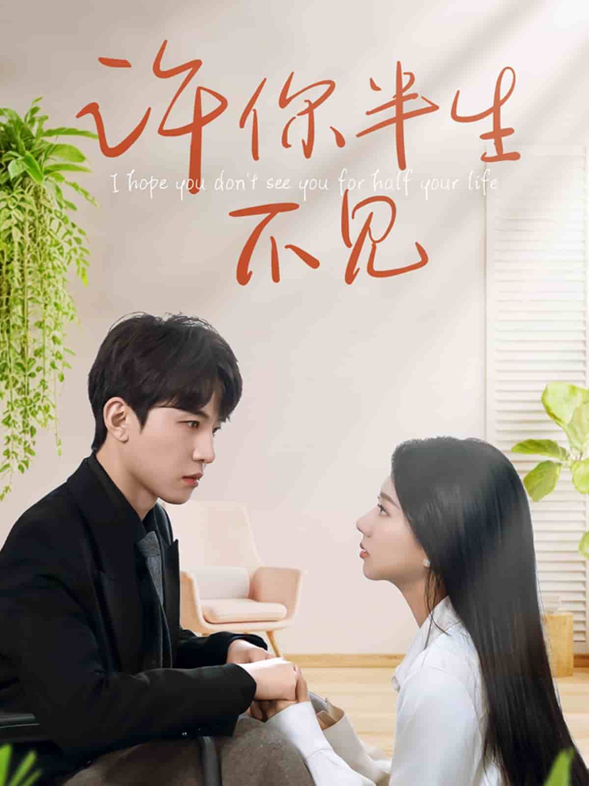 许你半生不见封面图