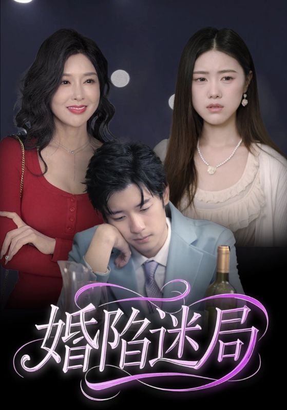 婚陷迷局封面图