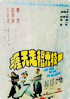 一枝光棍走天涯封面图