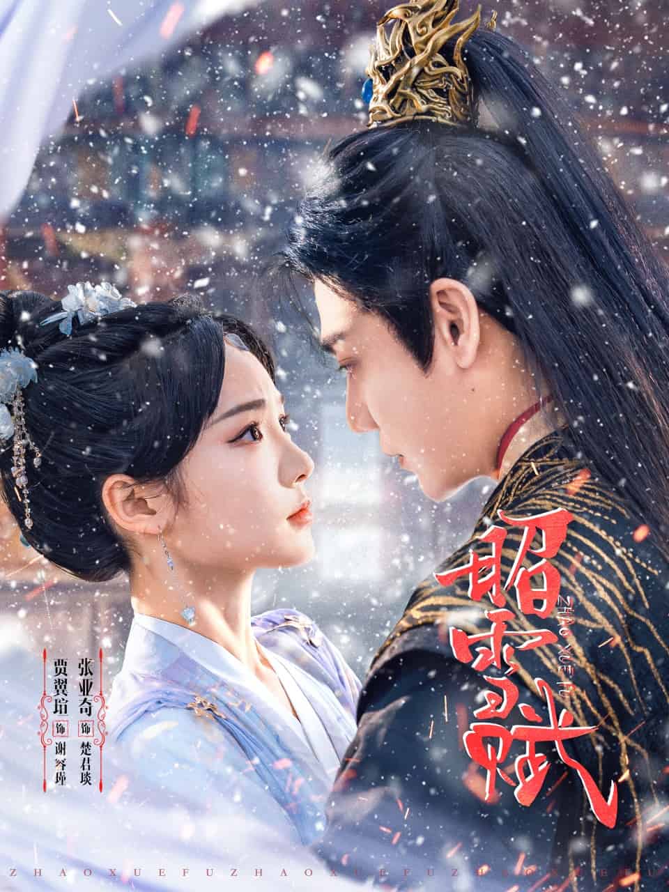 昭雪赋封面图