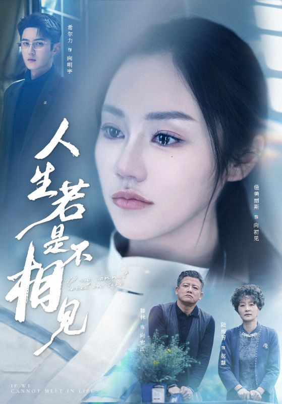 人生若是不相见封面图