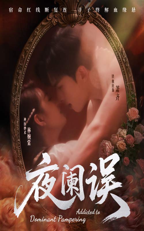 夜阑误封面图