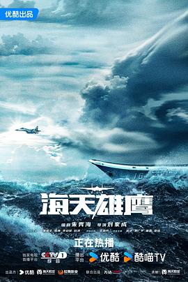 海天雄鹰封面图