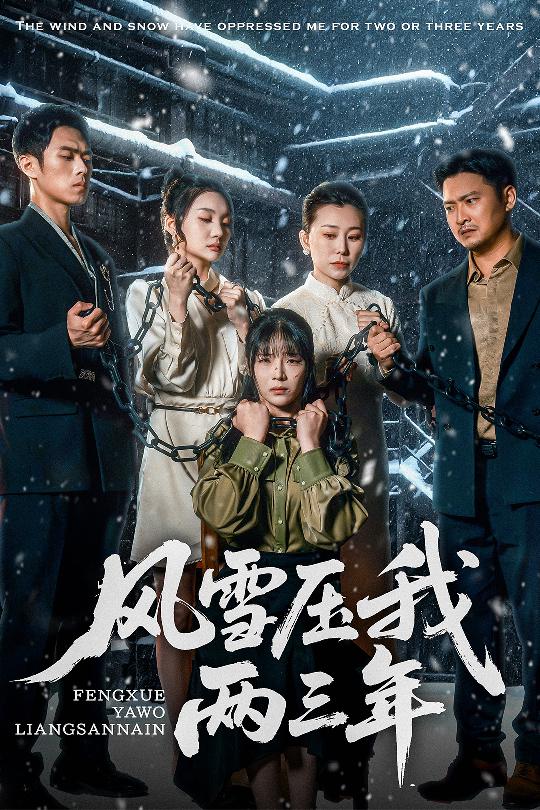 风雪压我两三年封面图