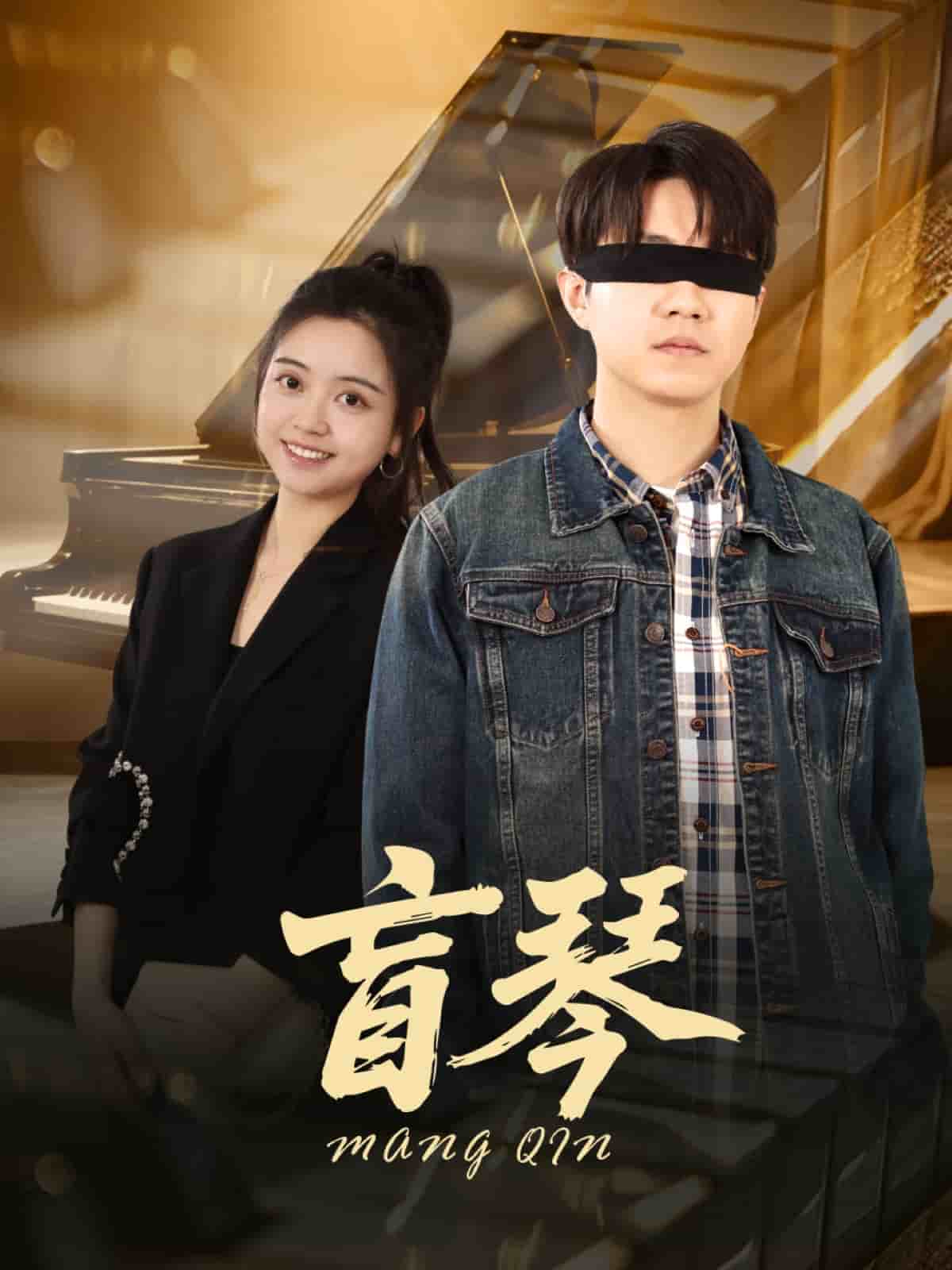 盲琴封面图