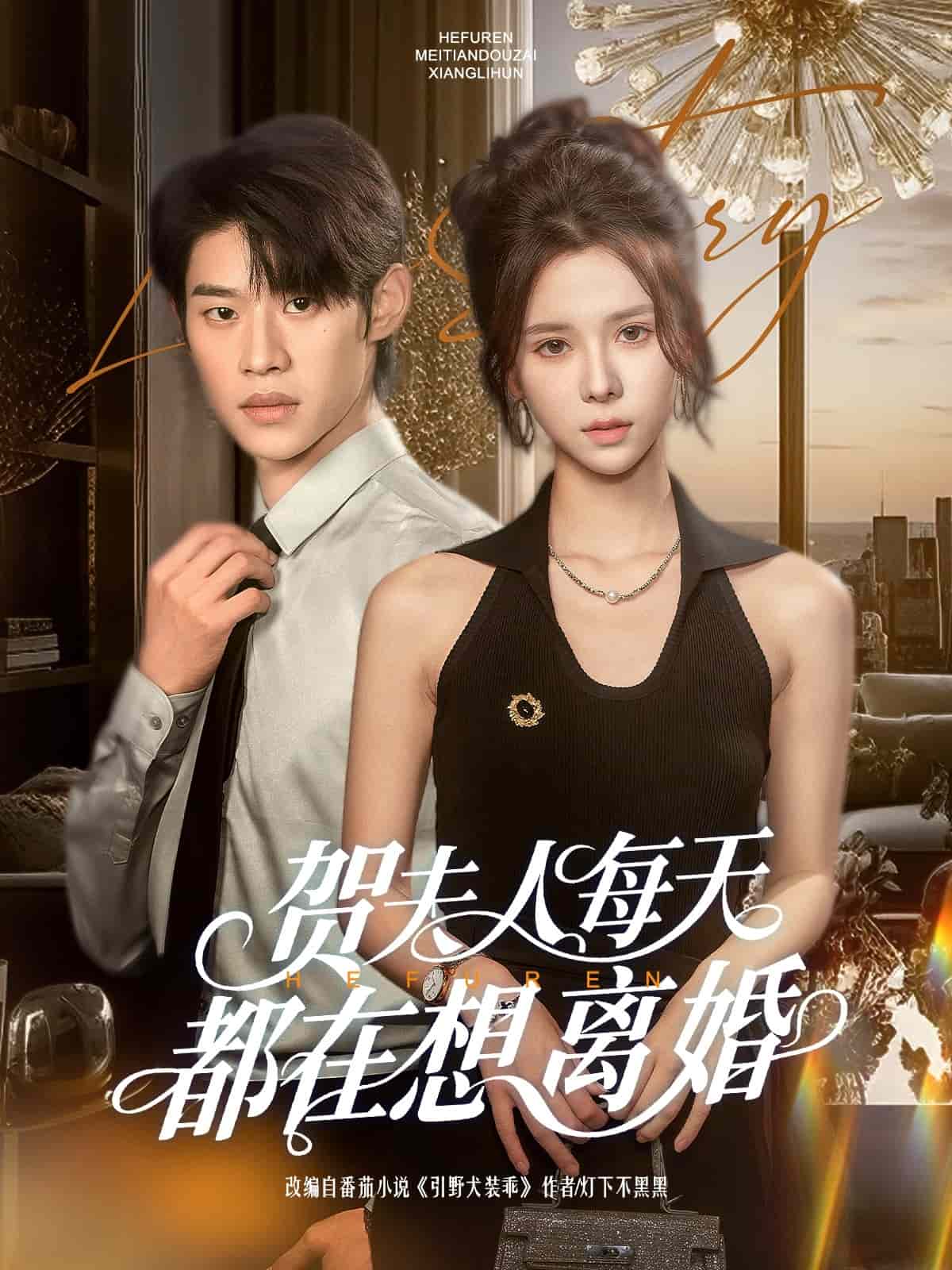 贺夫人每天都在想离婚封面图