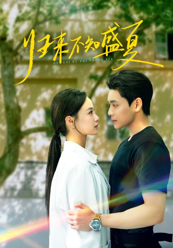 归来不知盛夏封面图