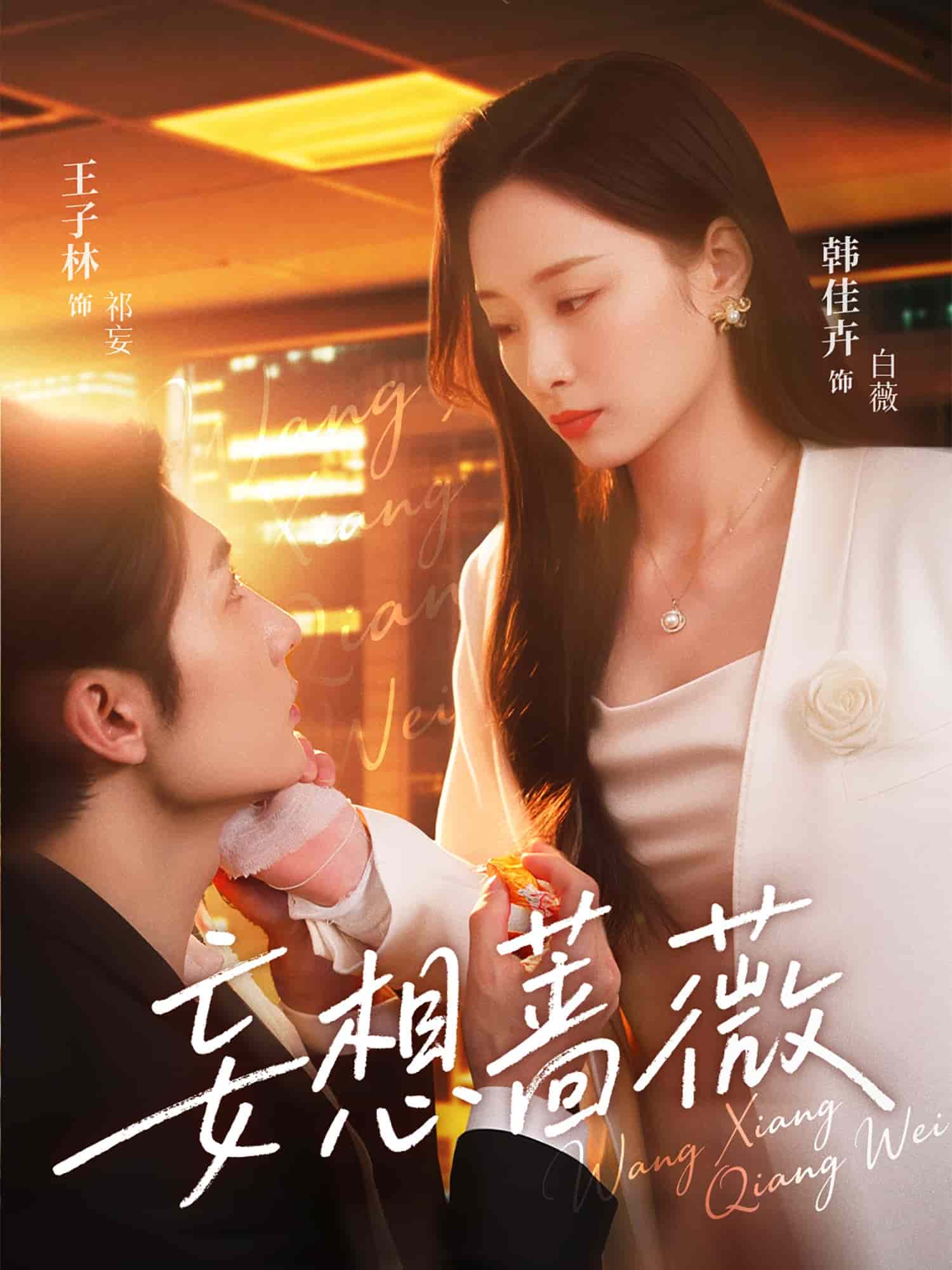 妄想蔷薇封面图