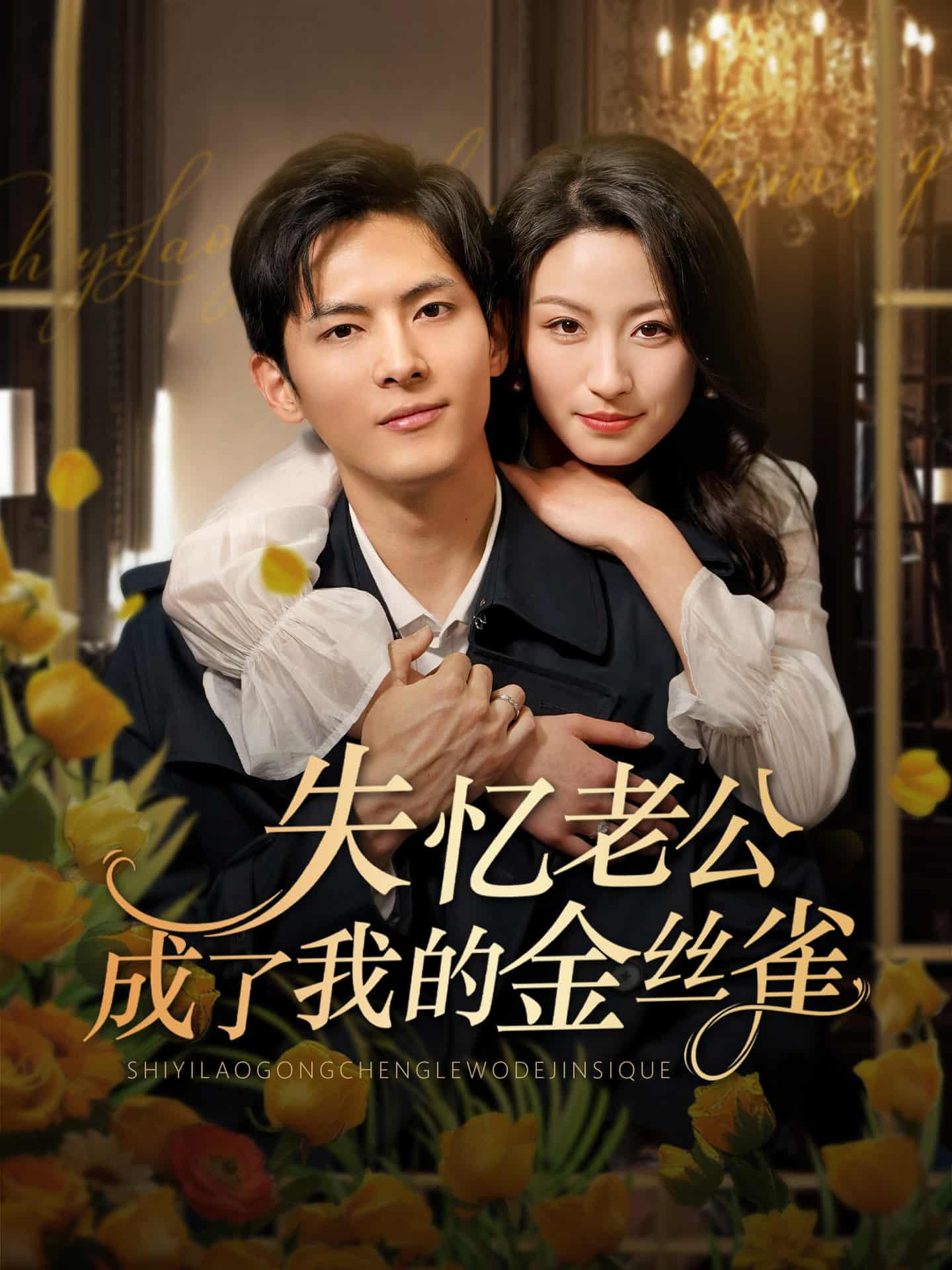失忆老公成了我的金丝雀封面图