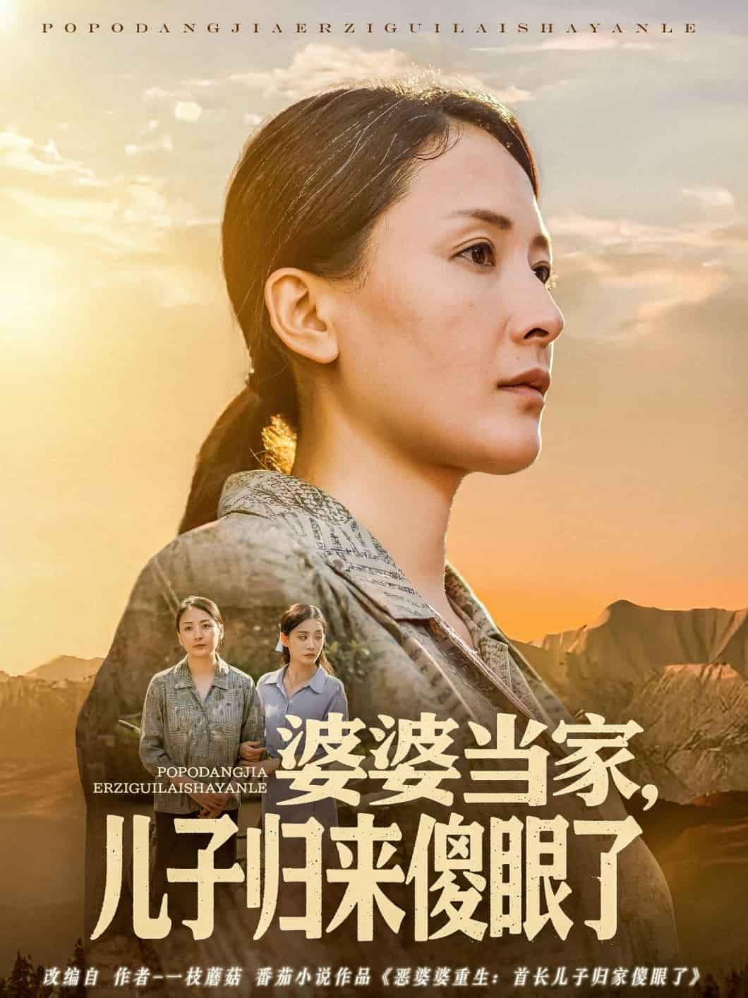婆婆当家儿子归来傻眼了封面图