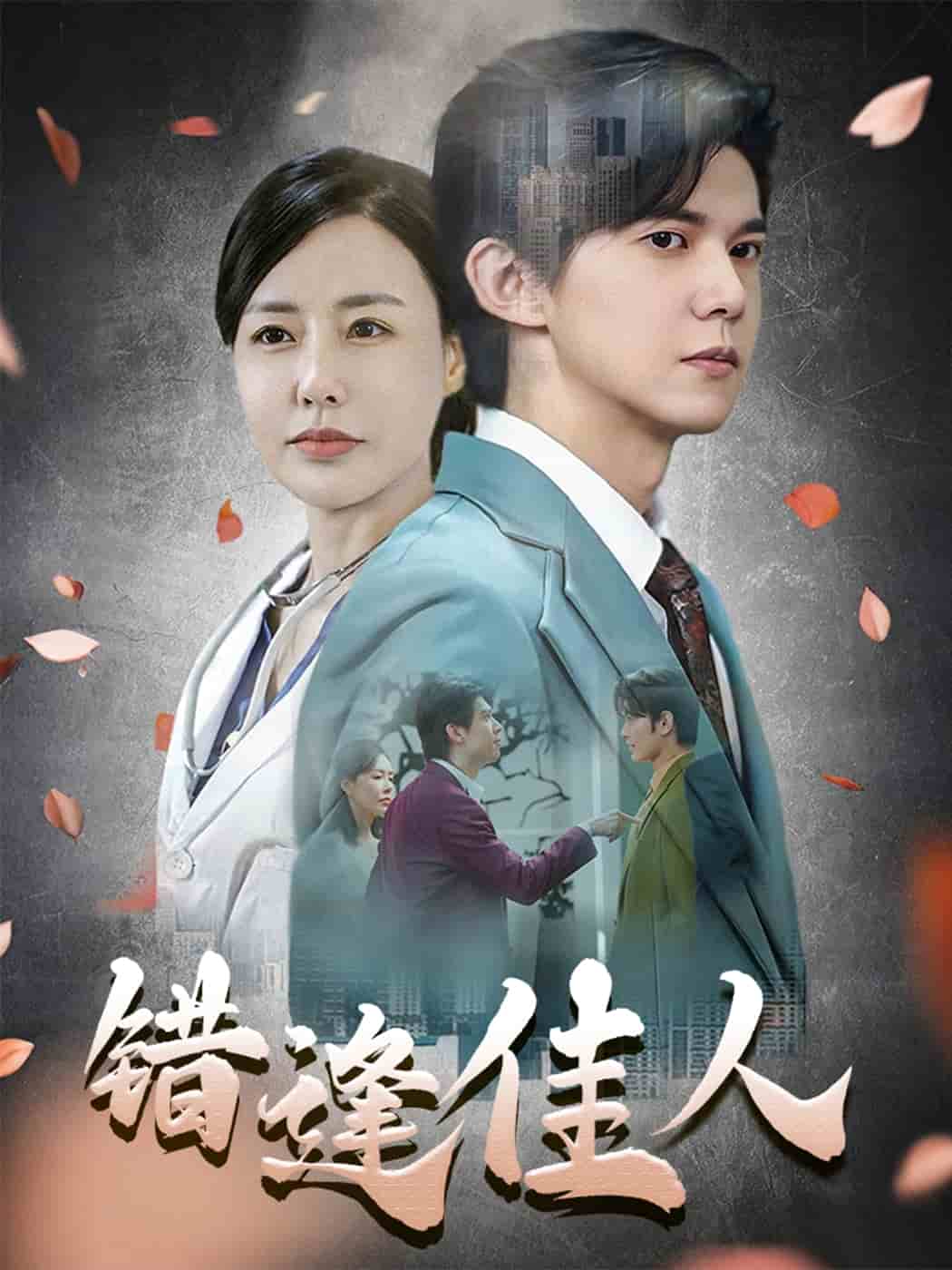 错逢佳人封面图