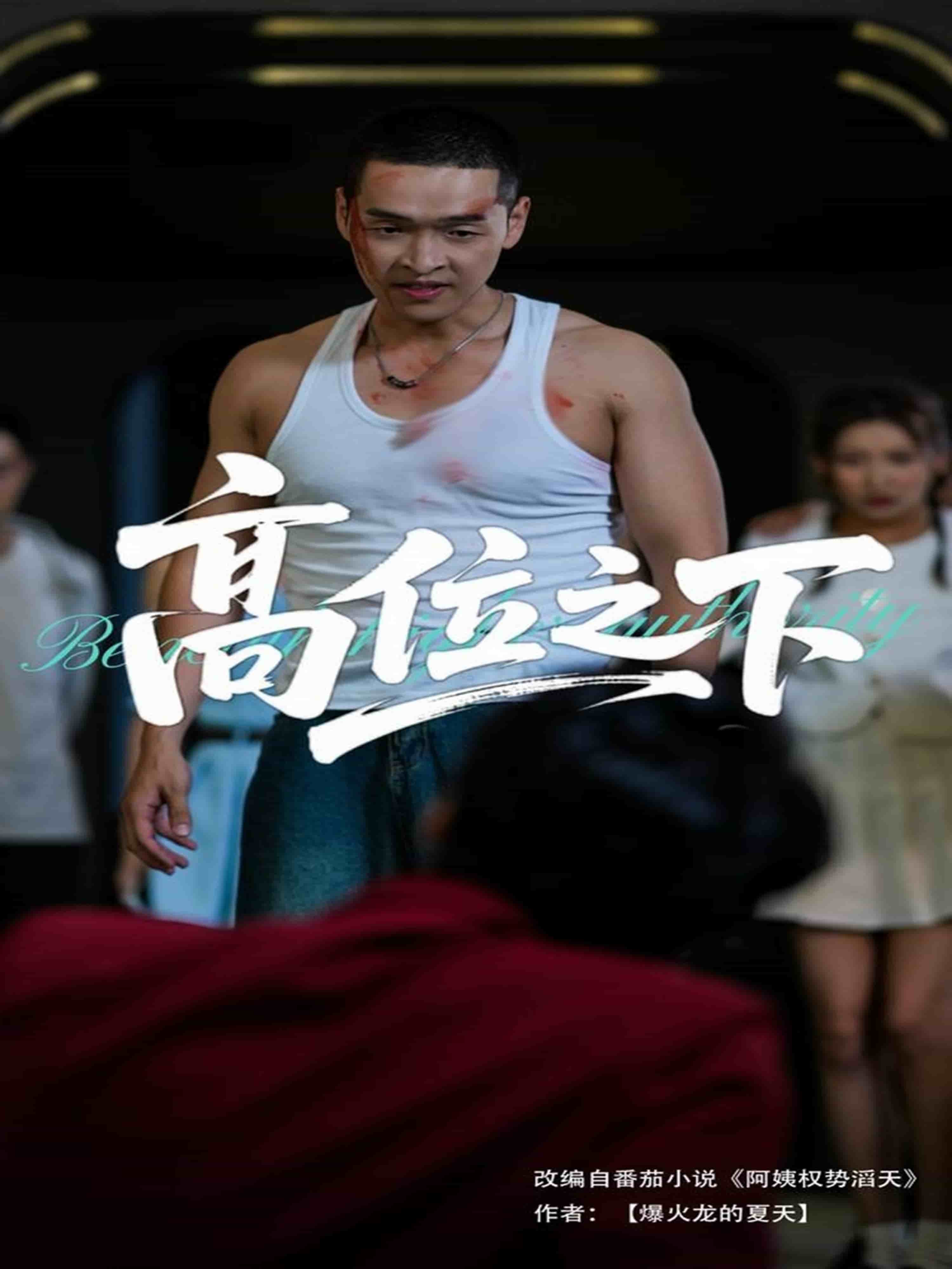 高位之下封面图