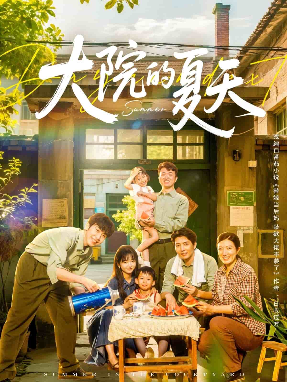 大院的夏天封面图
