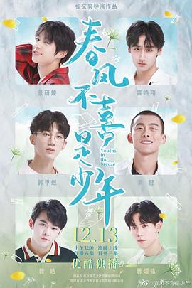 春风不喜是少年封面图