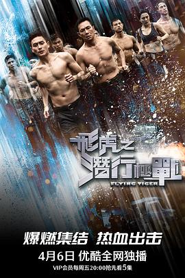 飞虎之潜行极战封面图