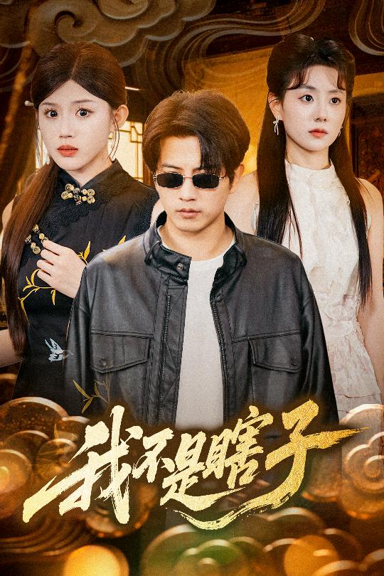 我不是瞎子封面图