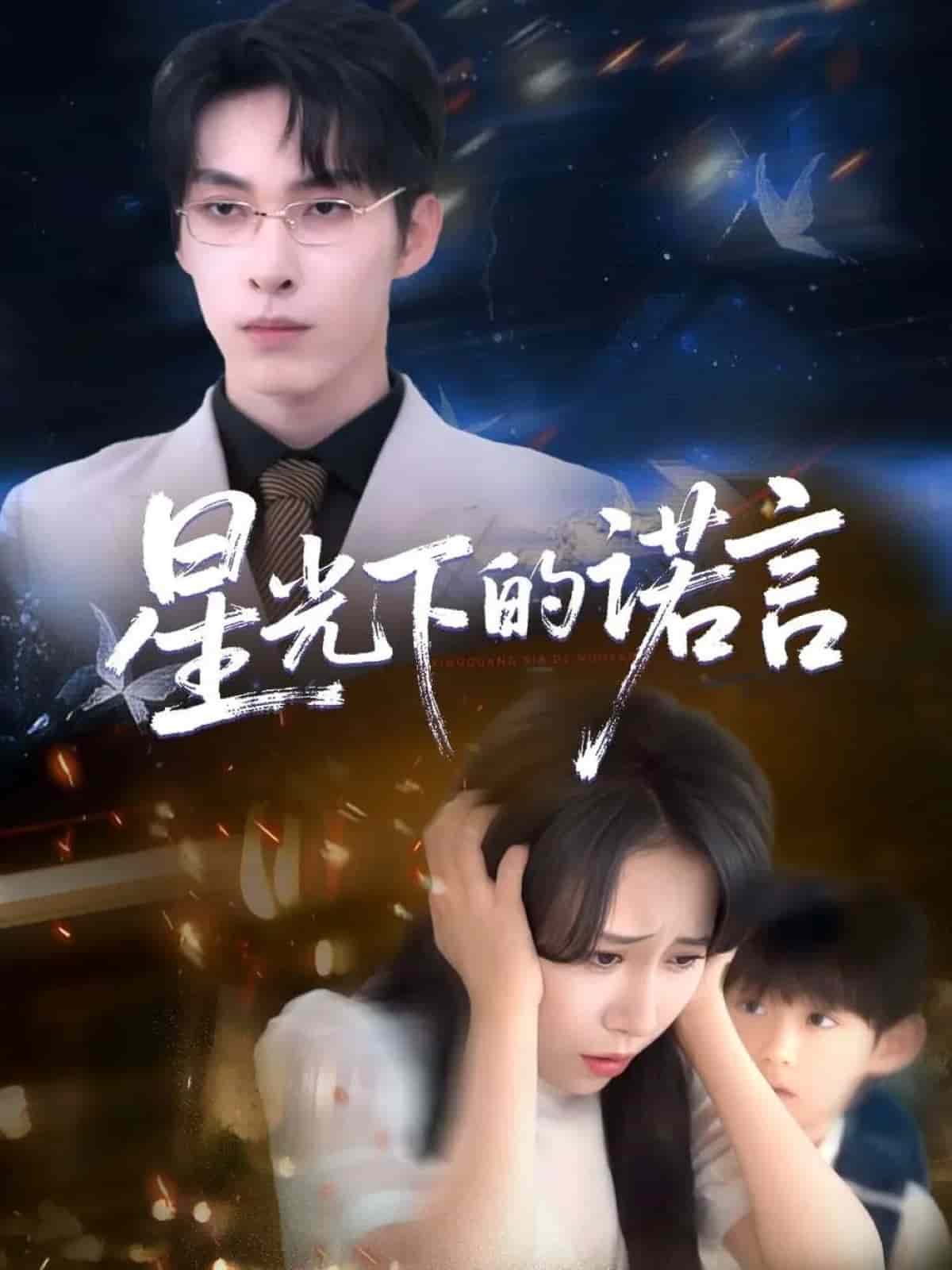 星光下的诺言封面图