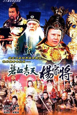 碧血青天杨家将封面图