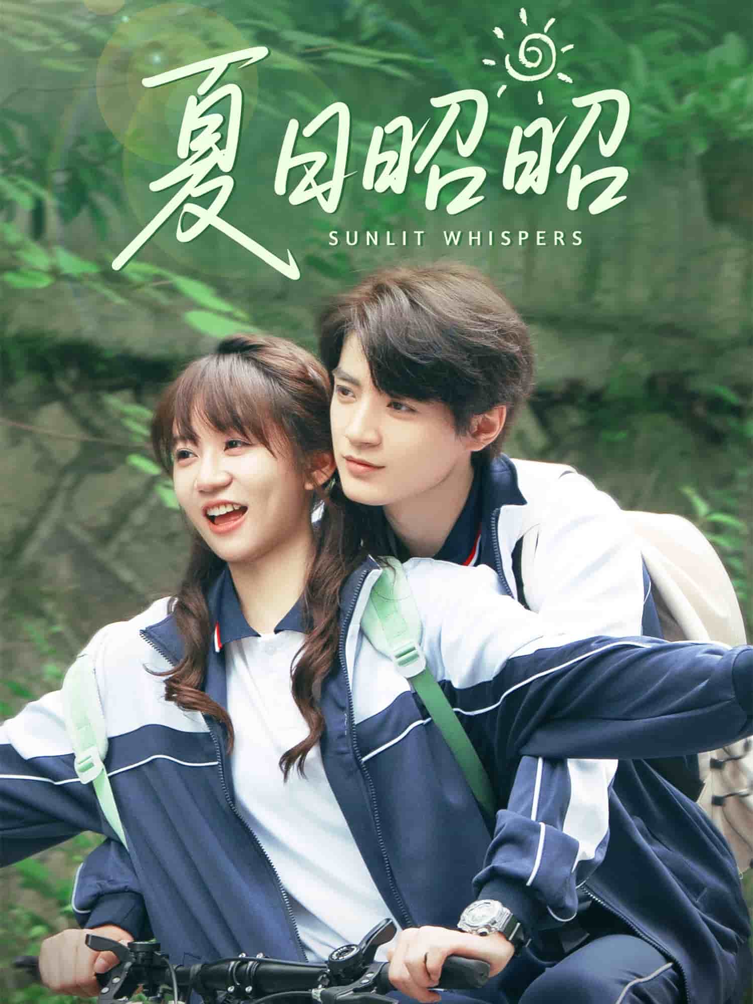 夏日昭昭封面图