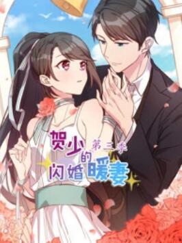 贺少的闪婚暖妻 动态漫第三季封面图