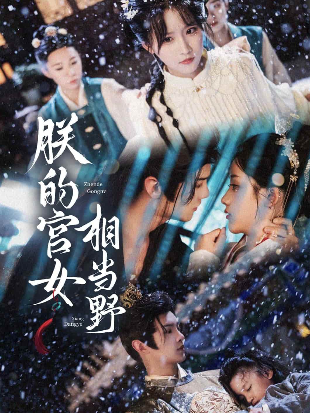 朕的宫女相当野封面图