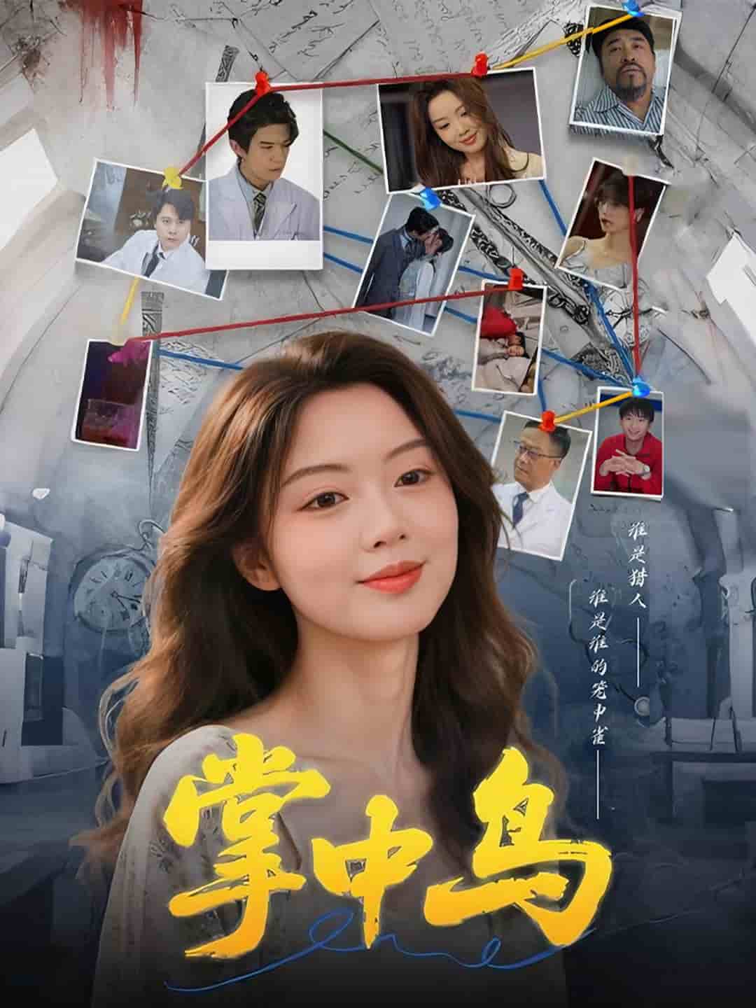 掌中鸟封面图