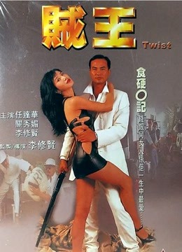 贼王封面图