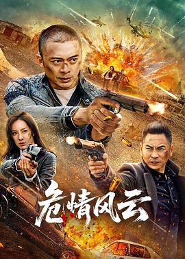 危情风云封面图