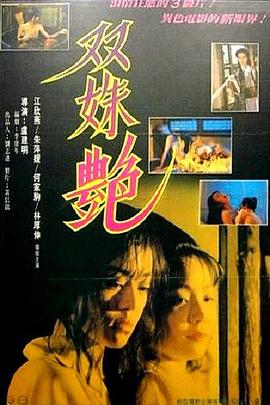 双姝艳封面图